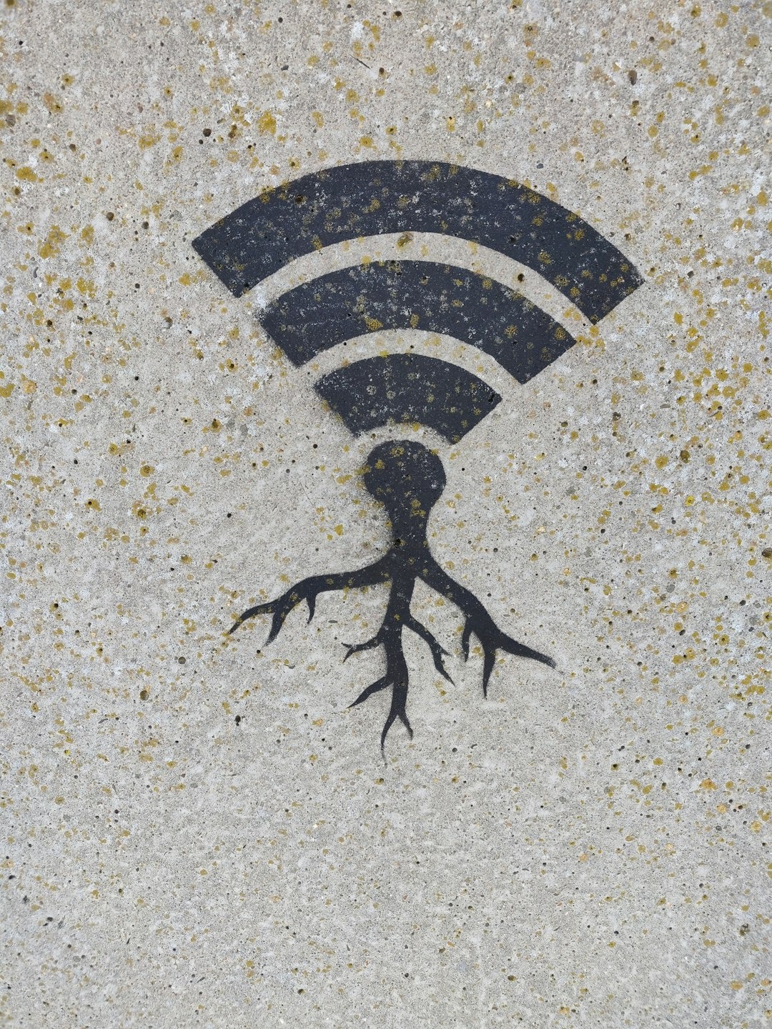 wifi